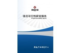 重庆智能机电产品项目可行性研究报告